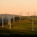 windmills on green field under white sky during daytime
