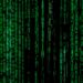 close up photo of matrix background