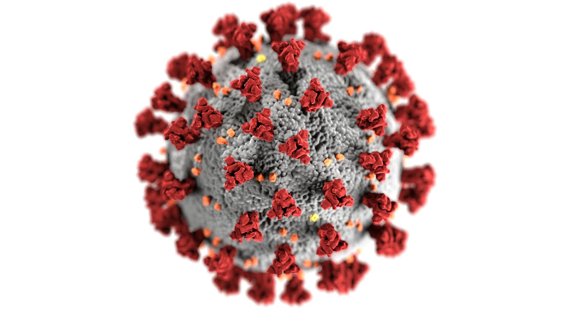 Understanding CrowdStrike Virus Risks: Investors’ Guidepost to Cybersecurity and Stocks